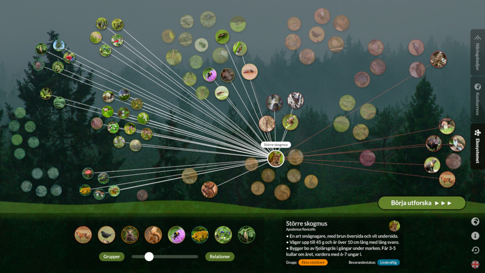 /content/projects/ecoweb/ecoweb.jpg