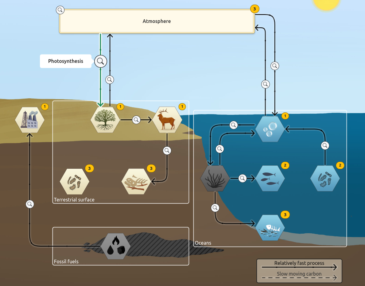 /content/projects/tracing_carbon/tracing_carbon.png